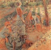 Camille Pissarro Apple picking oil painting artist